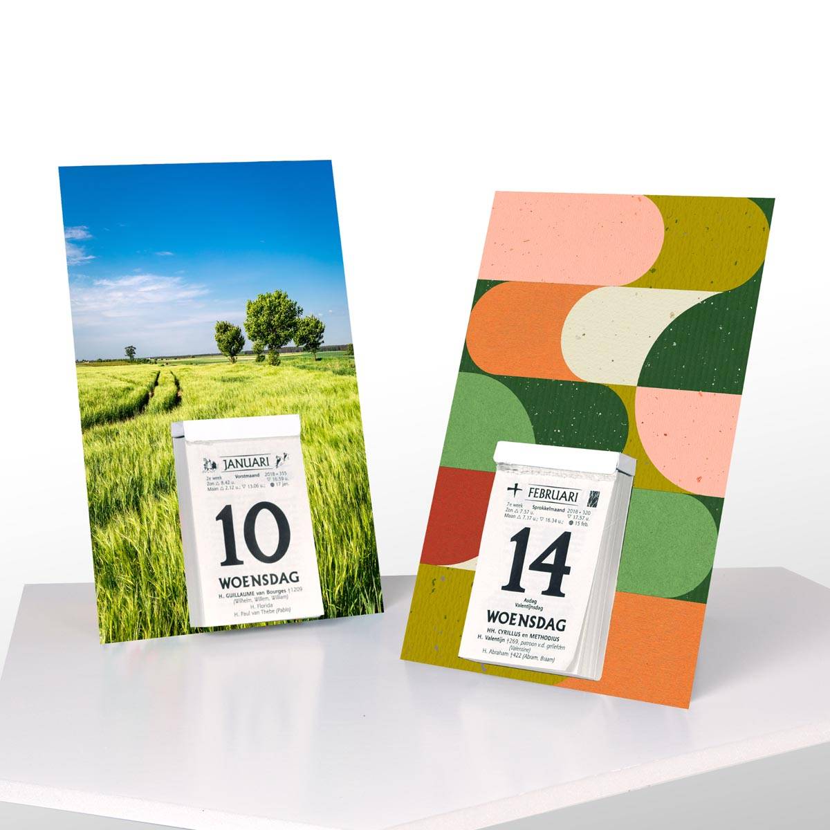 Rugschild met doorlopende foto voor de 'Druivelaar' en de 'Sablier', 2026