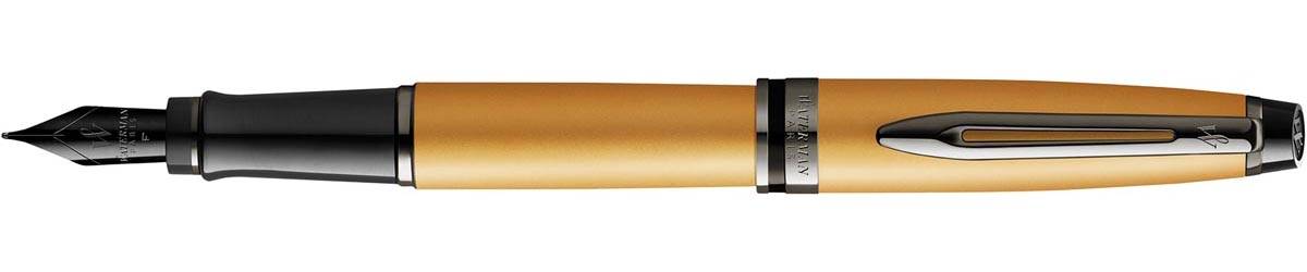 Waterman Expert Gold RT vulpen