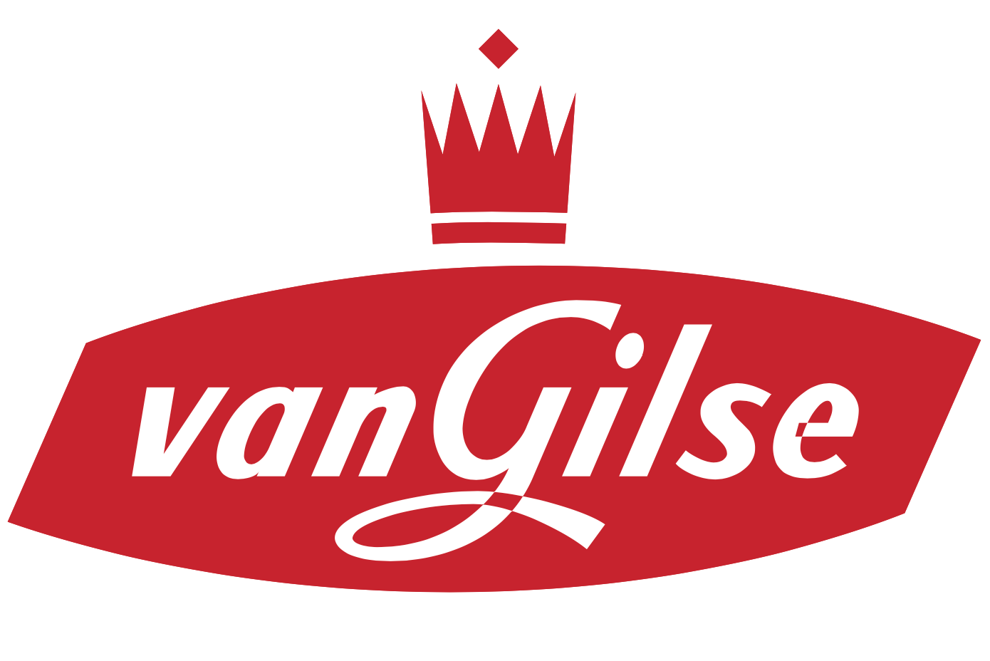 Van Gilse logo