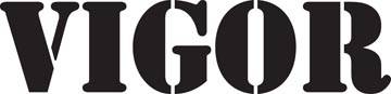 Vigor logo